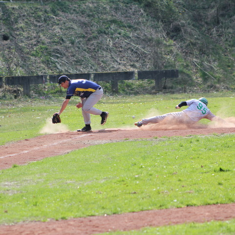 Baseballspieler im Rutschversuch zur Base, w&auml;hrend ein gegnerischer Spieler den Ball f&auml;ngt. Staub wirbelt auf.