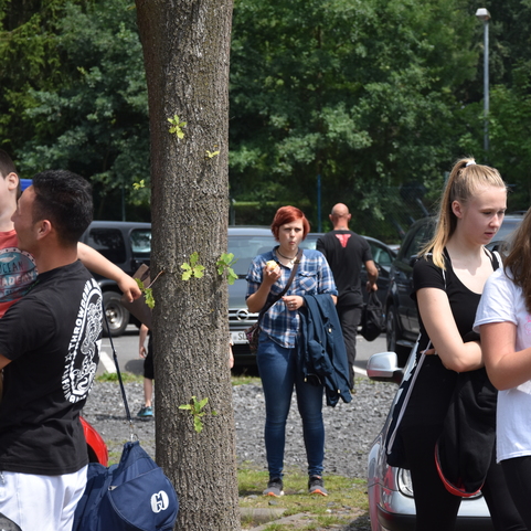 Gruppe junger Menschen in einem Parkplatz, einige sprechen, andere nutzen Handys, umgeben von B&auml;umen und Fahrzeugen.