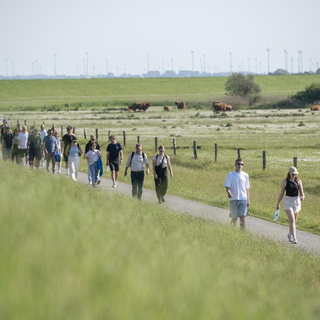 Gruppe von Menschen, die auf einem Weg durch eine gr&uuml;ne Landschaft mit K&uuml;hen und Windr&auml;dern spazieren.