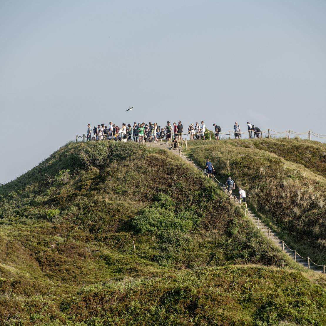 Gruppe von Menschen auf einem H&uuml;gel mit einem Holzgel&auml;nder und einem Weg hinunter, umgeben von gr&uuml;ner Vegetation.