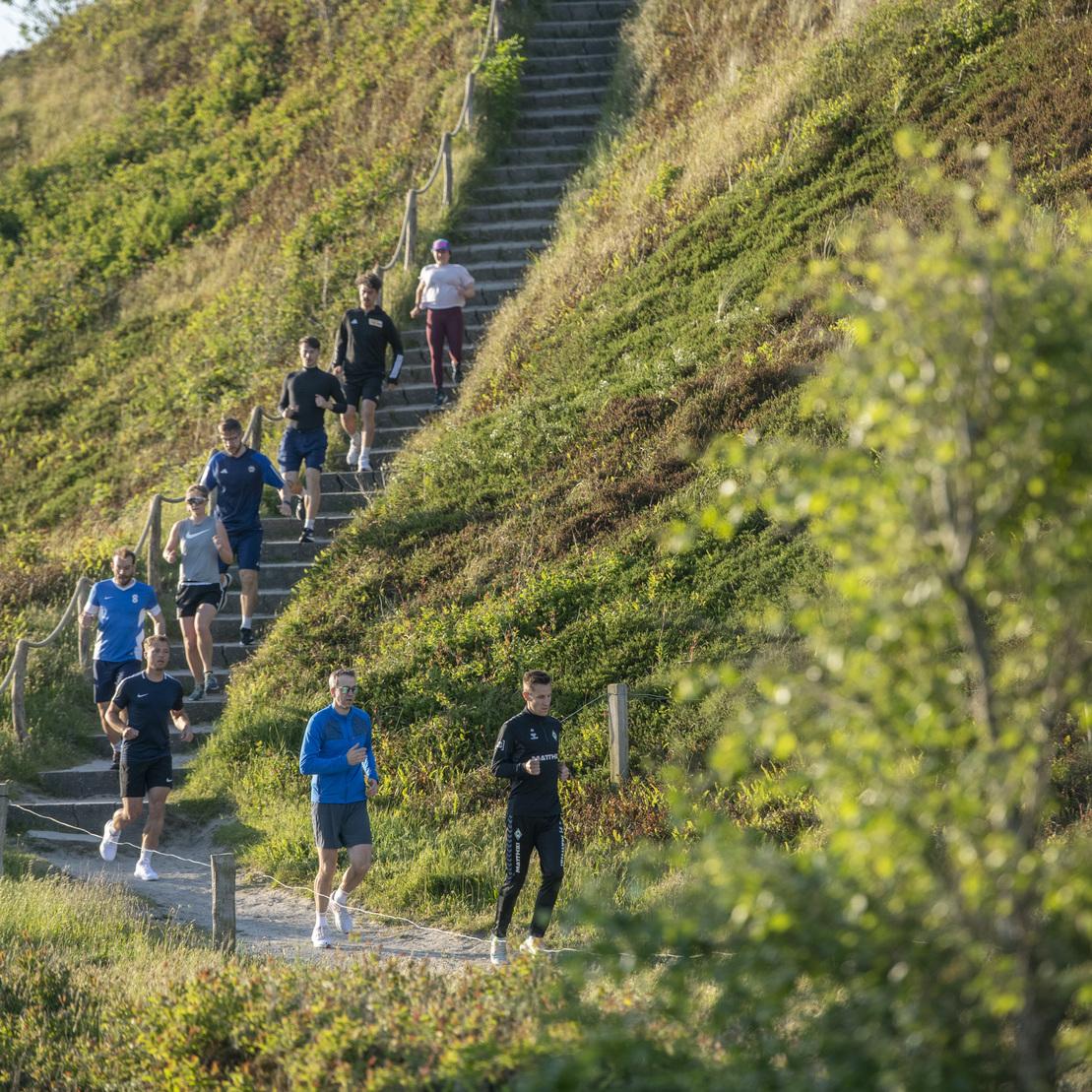 Gruppe von Sportlern joggt eine Treppe an einem Hang entlang, umgeben von gr&uuml;ner Vegetation und Sonnenlicht.