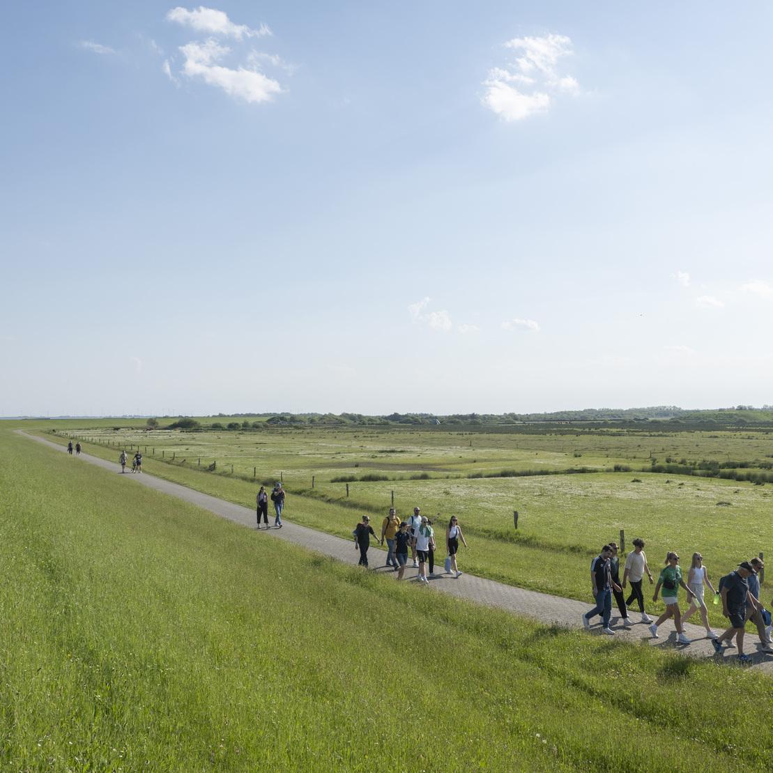 Gruppe von Menschen wandert auf einem gepflasterten Weg entlang eines Deiches in einer gr&uuml;nen Landschaft bei blauem Himmel.