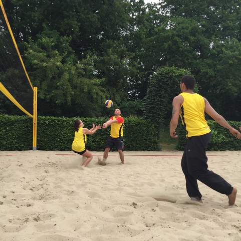 Drei Personen in sportlicher Kleidung spielen Volleyball auf einem Sandplatz, umgeben von gr&uuml;nen B&auml;umen und Str&auml;uchern.