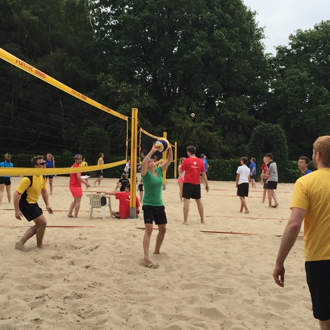 Gruppe von Menschen spielt Beachvolleyball auf sandigem Platz, umgeben von B&auml;umen und einer Volleyballnetz.
