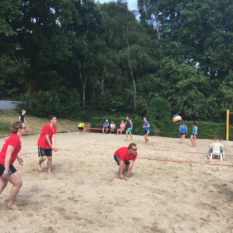 Gruppe von Personen spielt Beachvolleyball auf einem Sandplatz umgeben von B&auml;umen an einem sonnigen Tag.