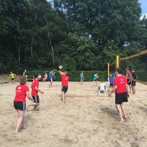 Gruppen von Menschen spielen Beachvolleyball auf einem Sandplatz, umgeben von B&auml;umen und Gr&uuml;n.