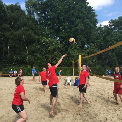 Gruppe von Menschen spielt Beachvolleyball auf einem Sandplatz unter B&auml;umen, mit einem Ball in der Luft.