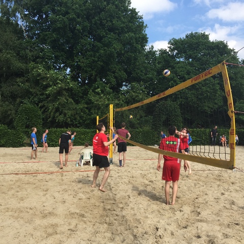 Gruppe von Menschen spielt Beachvolleyball auf einem Sandplatz unter blauem Himmel und B&auml;umen im Hintergrund.