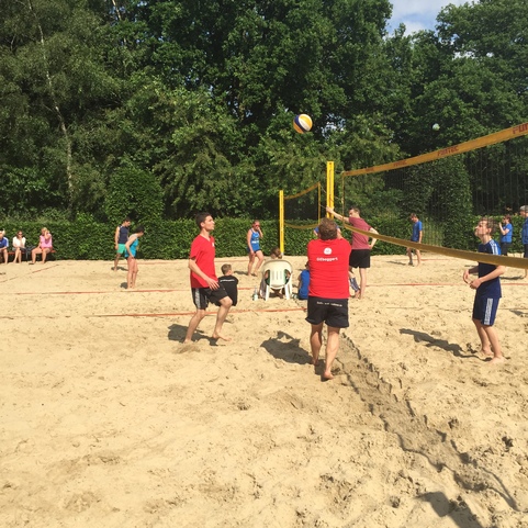 Gruppe von Menschen beim Volleyballspielen auf einem Sandplatz, umgeben von B&auml;umen und zuschauenden Personen.