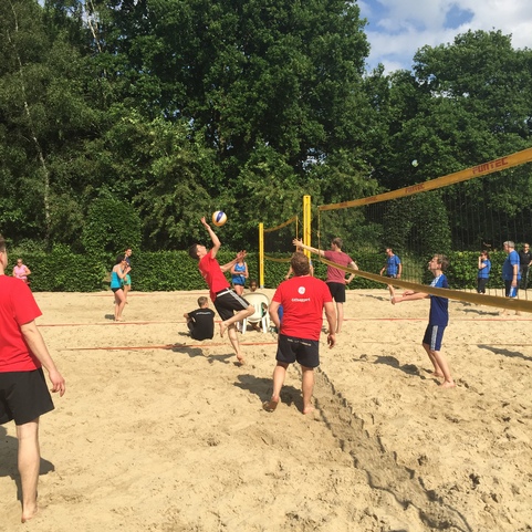 Gruppe von Menschen spielt Volleyball auf einem Sandplatz, umgeben von B&auml;umen und blauem Himmel.