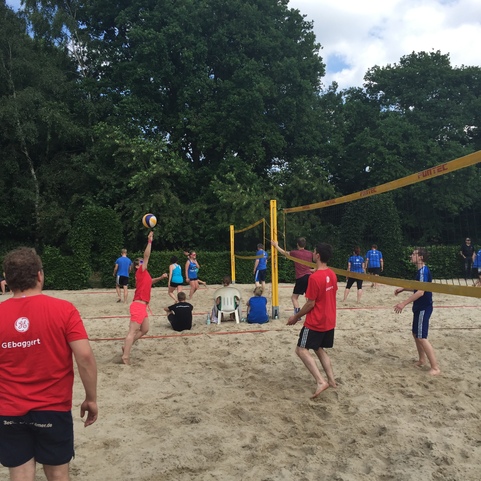 Beachvolleyballspiel mit mehreren Spielern auf sandigem Gel&auml;nde, umgeben von B&auml;umen und einem blauen Himmel.