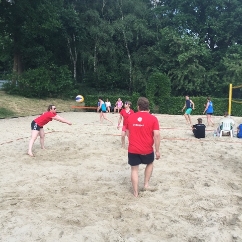 Gruppe von Menschen spielt auf einem Sandplatz Volleyball, umgeben von B&auml;umen und einer sportlichen Atmosph&auml;re.