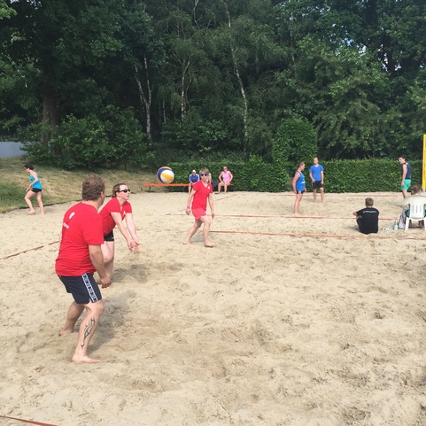 Gruppe von Menschen spielt Beachvolleyball auf einem Sandfeld, umgeben von B&auml;umen und einer Wiese.