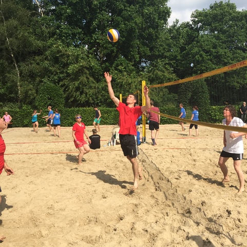 Gruppe von Menschen spielt Beachvolleyball auf einem Sandplatz unter blauem Himmel und B&auml;umen.