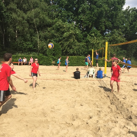 Mehrere Personen spielen Beachvolleyball auf einem Sandplatz, umgeben von B&auml;umen und Zuschauern auf St&uuml;hlen.