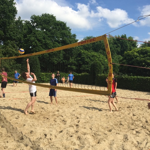 Eine Gruppe von Personen spielt Volleyball auf einem Sandplatz unter blauen Himmel und B&auml;umen im Hintergrund.