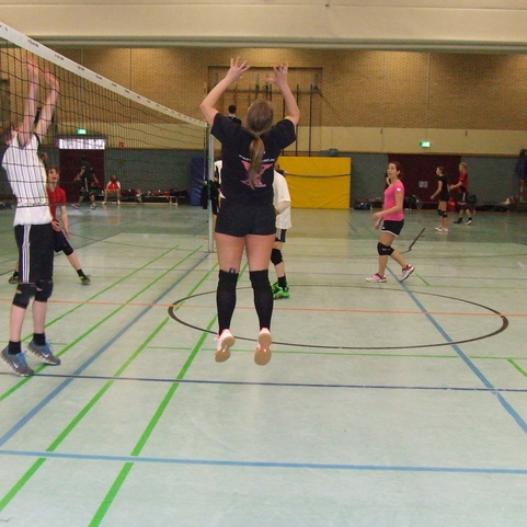 M&auml;dchen springt im Volleyballspiel zum Ball, w&auml;hrend Spieler hinter dem Netz sich vorbereiten. Sporthalle mit Linienmarkierungen.