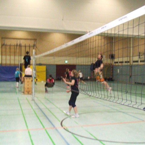 Gruppe von Volleyballspielern in einer Halle, einige springen, w&auml;hrend andere den Ball an einem Netz spielen.