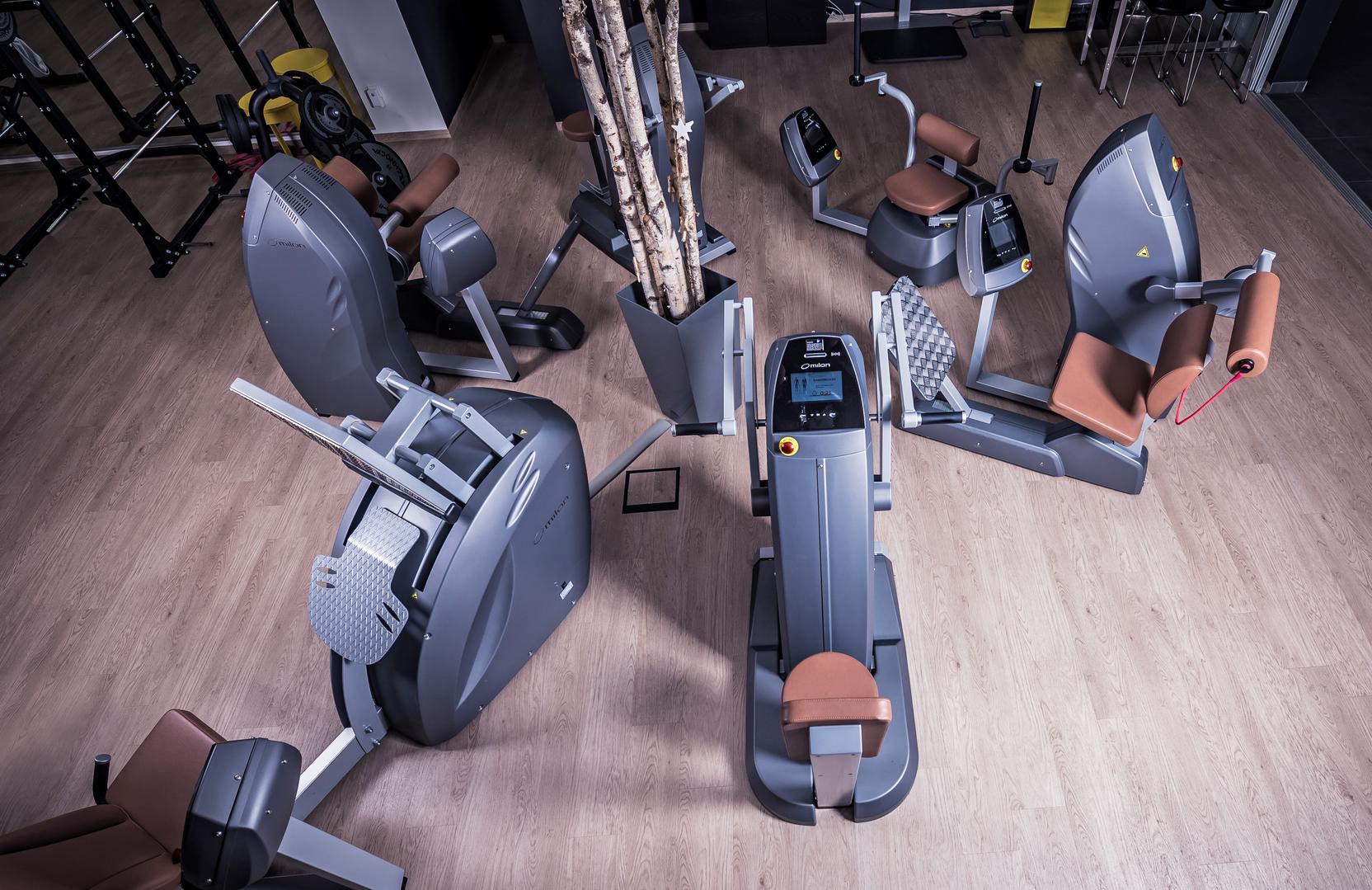 &Uuml;bersicht der modernen Fitnessger&auml;te in einem Fitnessstudio mit Holzfu&szlig;boden und dekorativen Pflanzen.