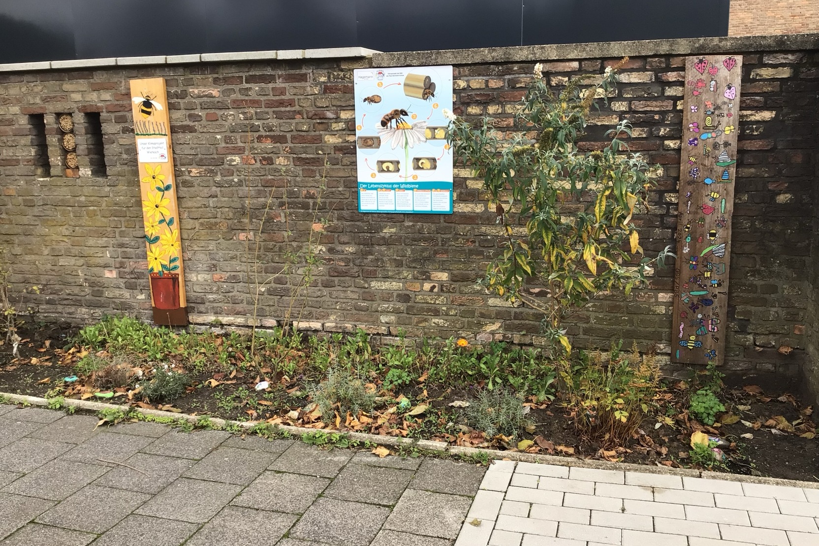 Info- und Pflanzenw&auml;nde mit Insektenillustrationen und Erkl&auml;rungen, umgeben von einem bepflanzten Bereich.