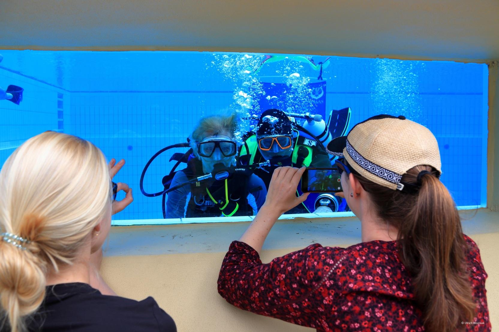 Zwei Taucher in Ausr&uuml;stung posieren hinter einem Glasfenster, w&auml;hrend eine Frau au&szlig;en ein Foto macht.