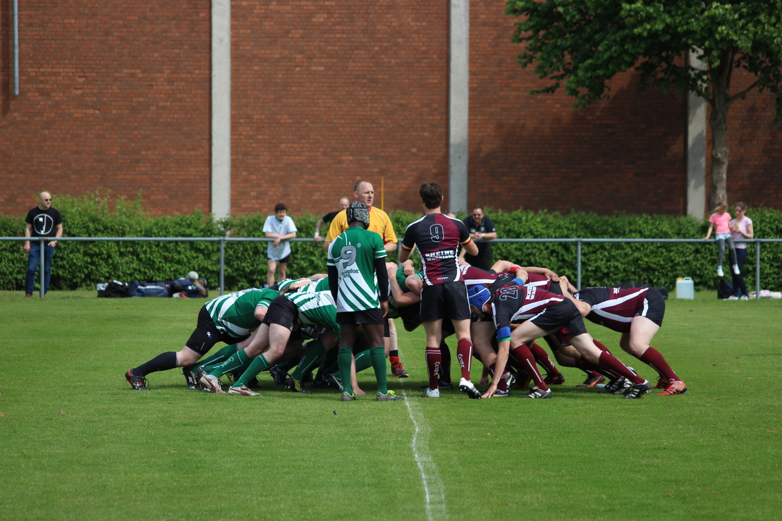 Rugby-Spieler in einem Scrumm auf einem gr&uuml;nen Feld, umgeben von Zuschauern und einer Z&auml;unung.